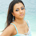 Trisha Hot sexy Telugu girl wallpaper
