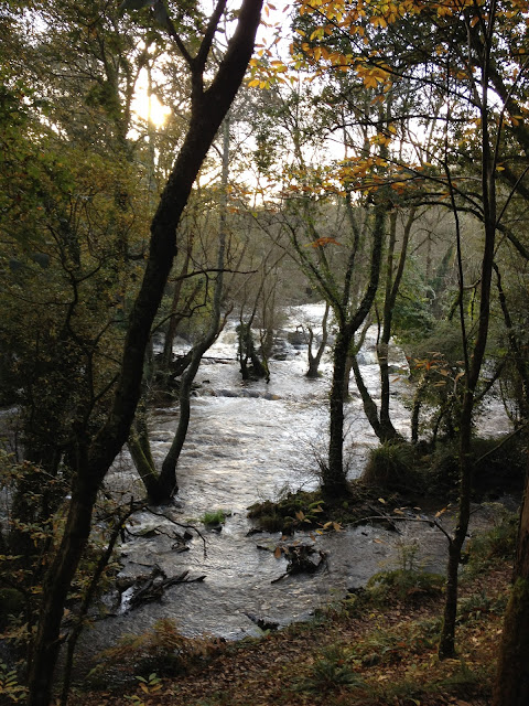 by E.V.Pita / River Anllons - Verdes (Spain, Galicia) Fall 2012