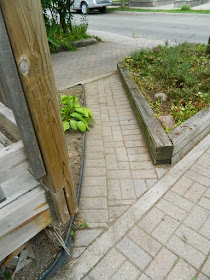Toronto Dovercourt Park Front Garden Summer Cleanup After by Paul Jung Gardening Services--a Toronto Gardening Company