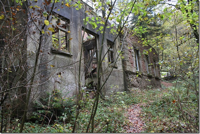 2010-10-26 156