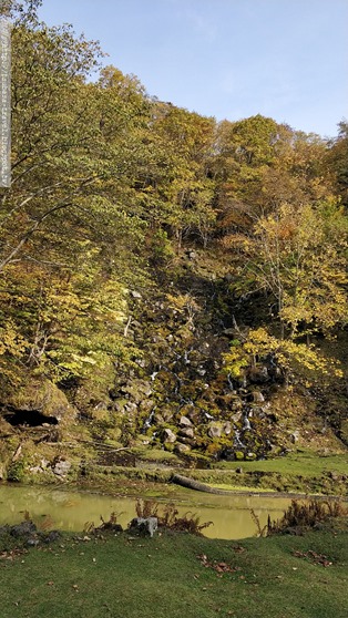 IMG_20181010_135359 IMG_20181010_135359