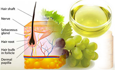 Grape Seed Oil For Hair