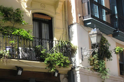 Plants on balconies