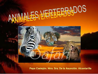  Animales vertebrados