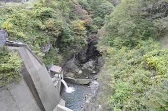 DSC 0451