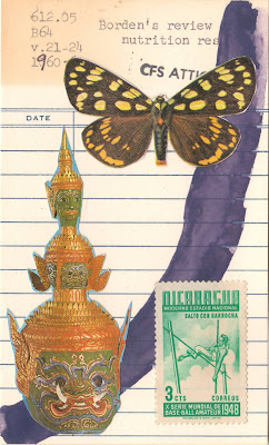 East Asian art vintage postage stamp butterfly identification guide illustration library due date card collage art by Justin Marquis