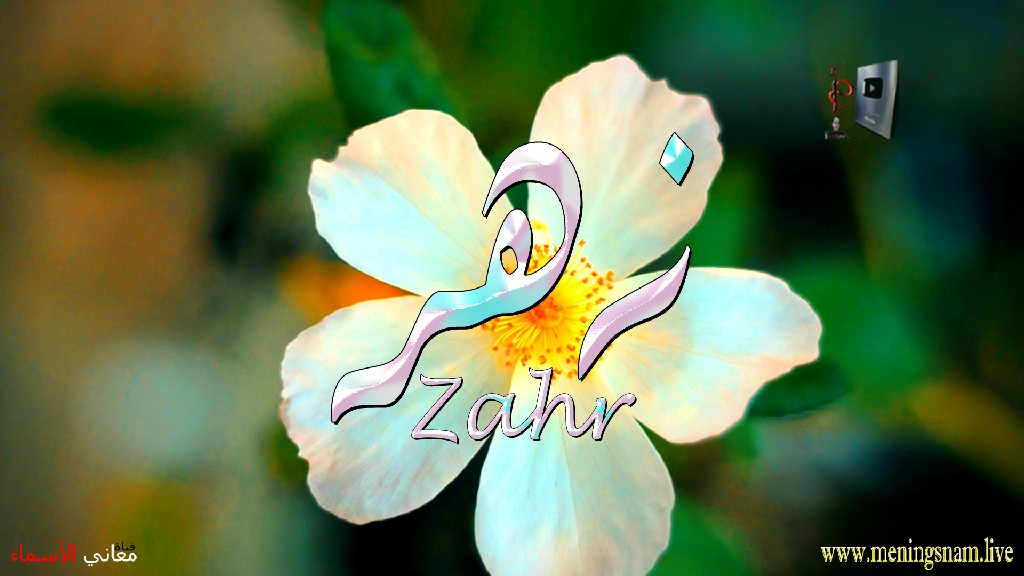 معنى اسم, زهر, وصفات, حامل, وحاملة, هذا الاسم, Zahr,