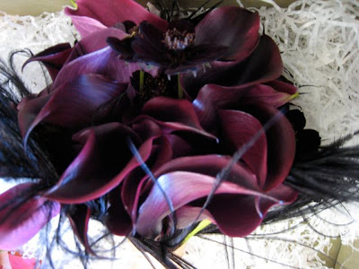 Bride 39s Bouquet with eggplant calla lilies cosmos and black feathers