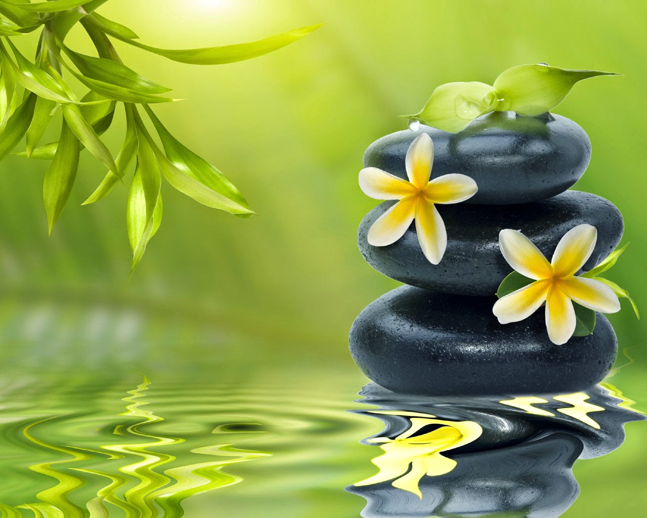 Zen Relaxation Backgrounds: Peaceful Zen