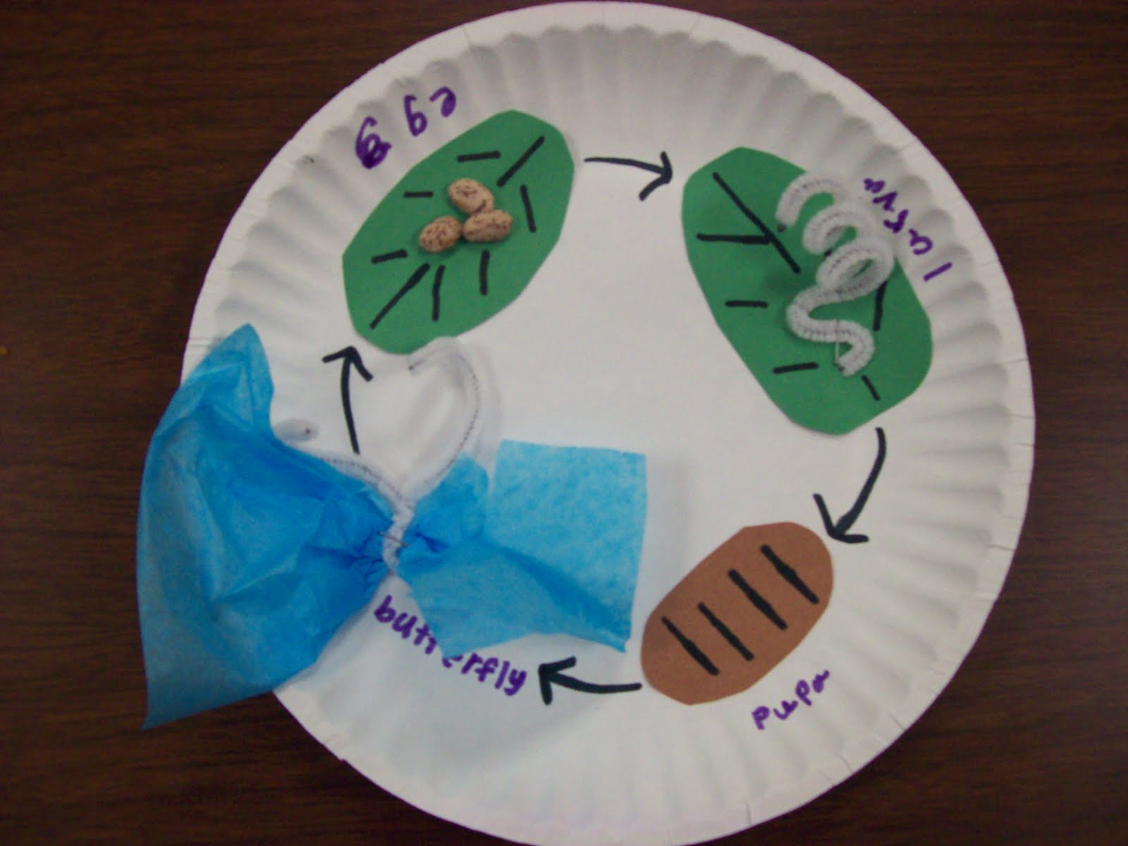 Butterfly Life Cycle Craft Project