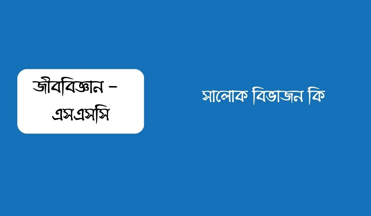 সালোক বিভাজন কি