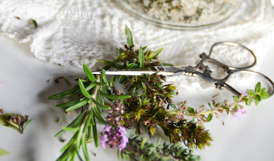 herbes salées du Bas du Fleuve - aromatiques  © Popote et Nature