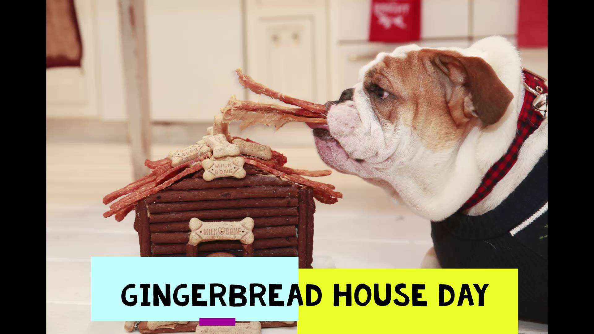 Gingerbread House Day Wishes Awesome Picture
