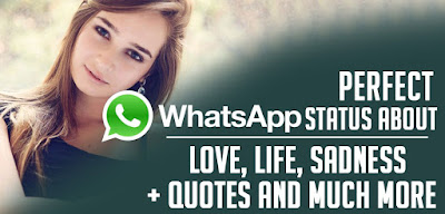 whats app status