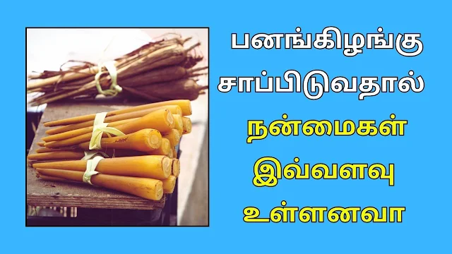 பனங்கிழங்கு சாப்பிடுவதால் நன்மைகள்