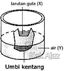 Diagram percobaan osmosis, soal Biologi SMA UN 2014