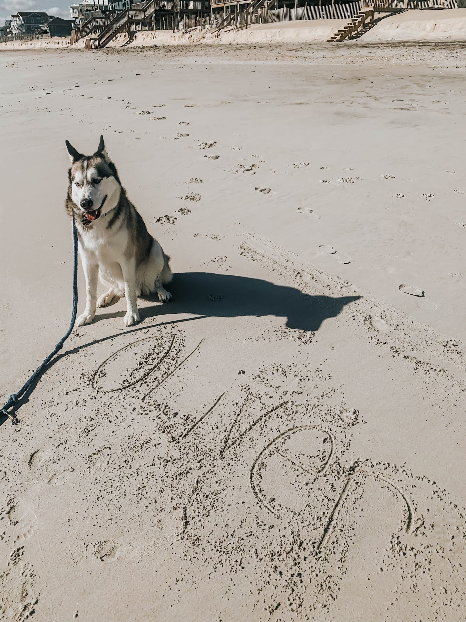 Thanksgiving At The Beach