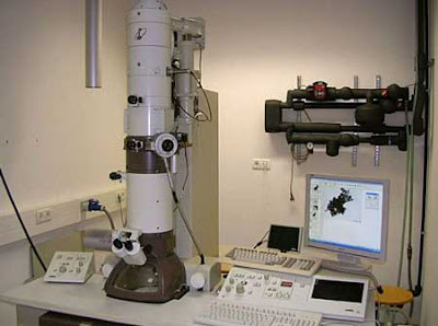 Mikroskop Elektron