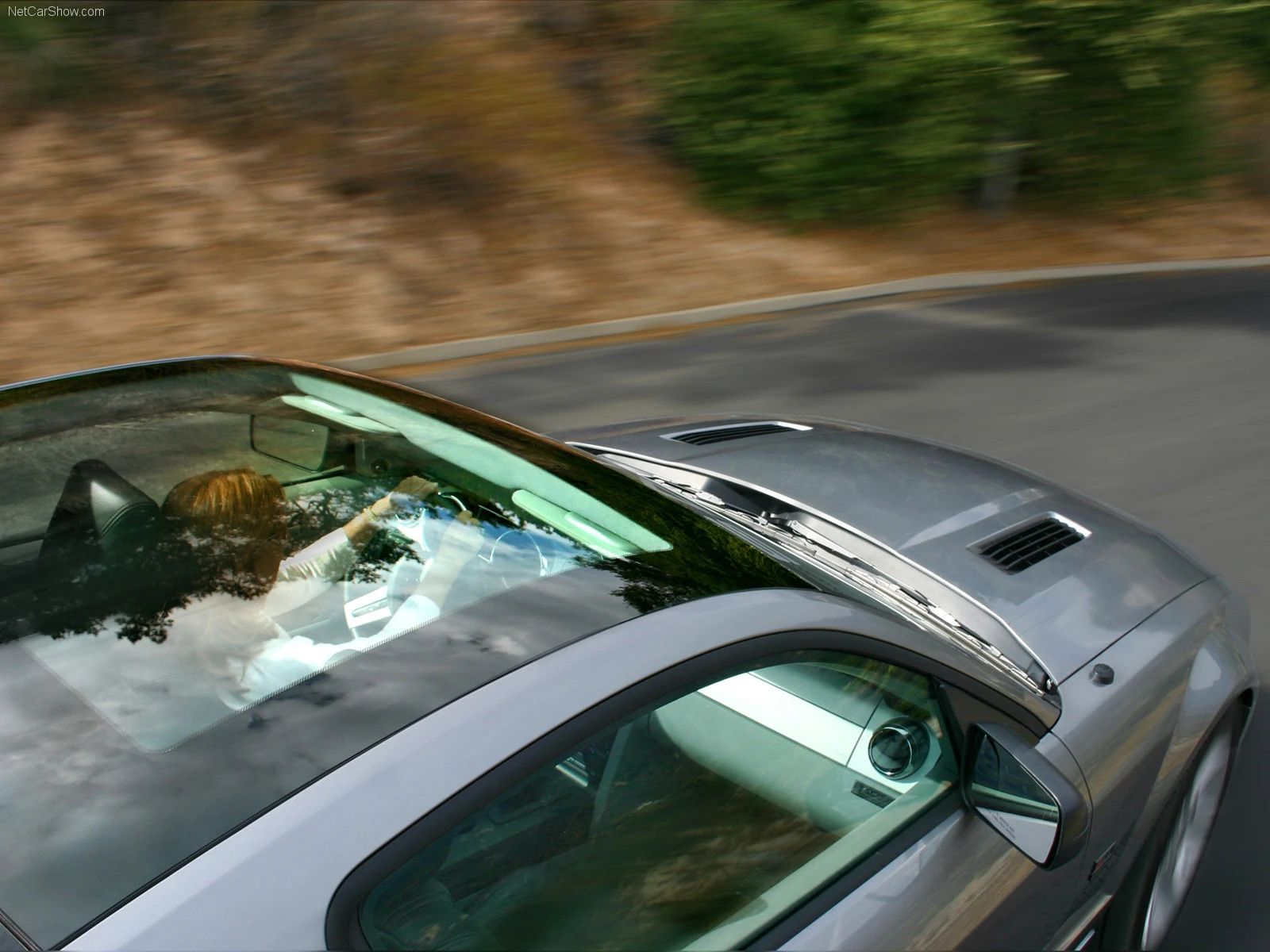Hình ảnh xe ô tô Saleen Ford Mustang S281 Scenic Roof 2006 & nội ngoại thất