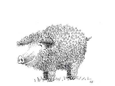 illustration jeunesse children encre ink cochon pig "dick king-smith"