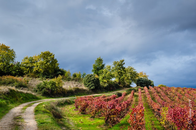 Sojuela, La Rioja