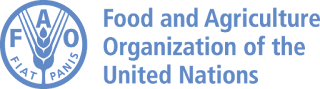 FAO Indonesia Vacancy - National Communications Officer