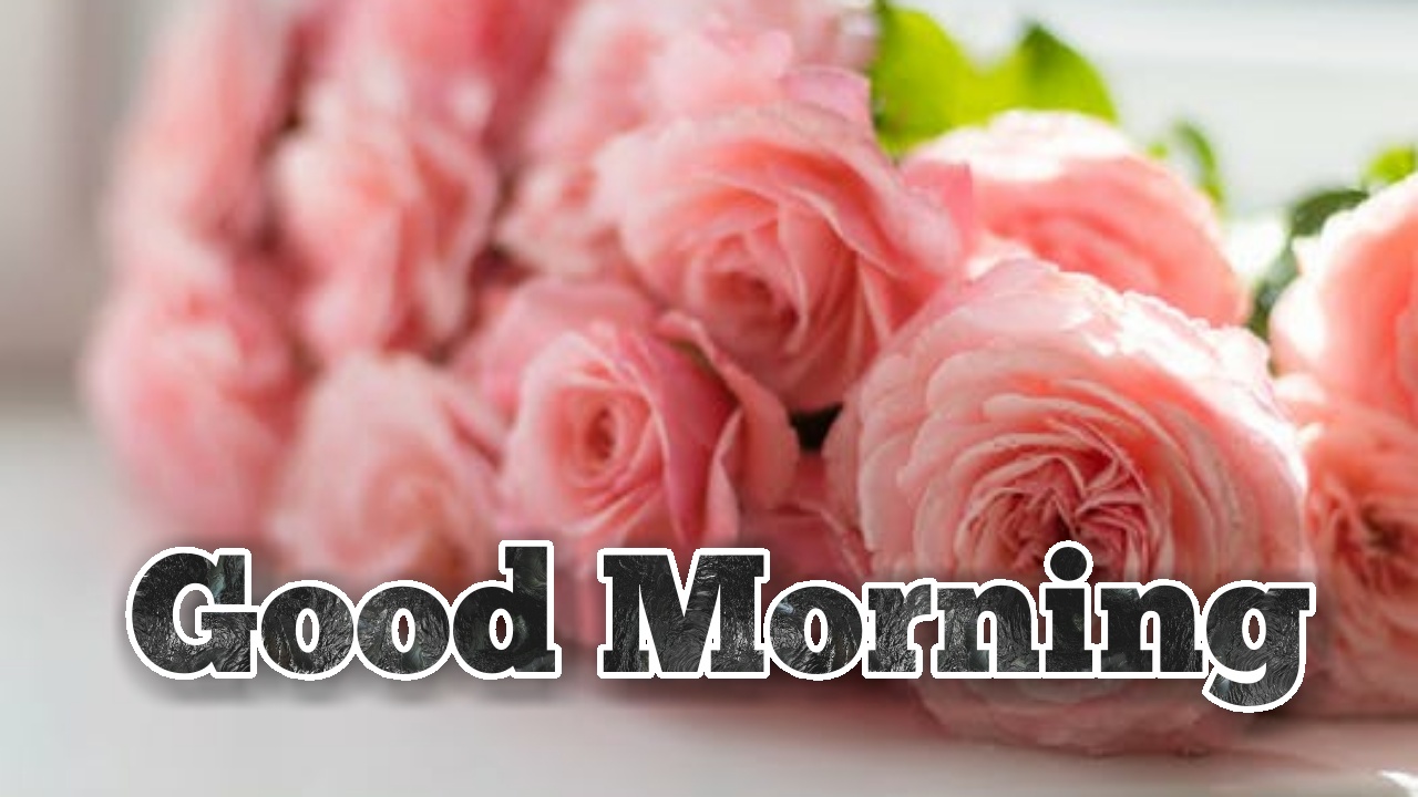 50 Good Morning Love Romantic Images HD Greetings Images