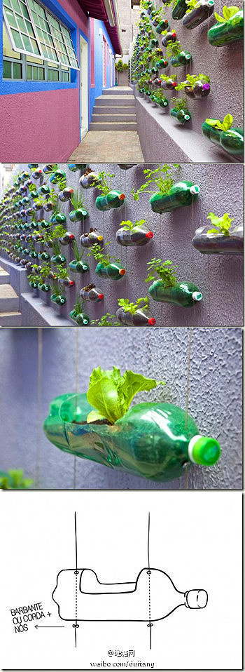 flower pot ideas annuals Plastic Soda Bottle Planters | 350 x 958