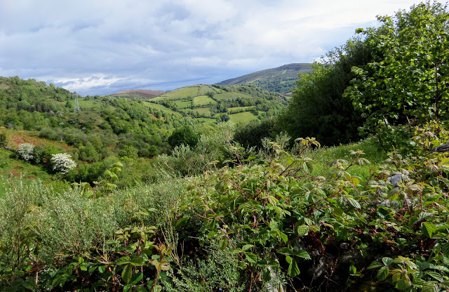 Camino a Tricastela, Camino Santiago Francés.