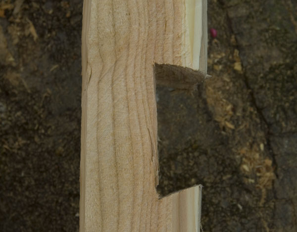 cut sliding dovetail joints