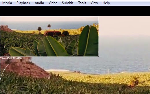 VLC zoom video