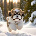 The 5 Cutest Dog Breeds You'll Wish You Could Cuddle All the Time