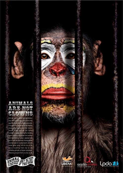 NO! A LOS CIRCOS CON ANIMALES QUE NO SEAN HUMANOS!!!