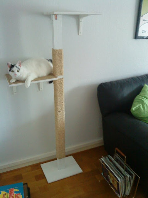 Kitty cat's Clawpole