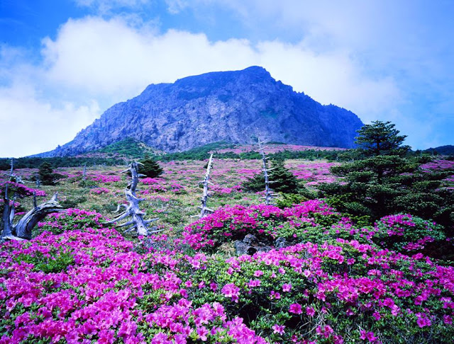 beautiful places in the world Jeju Island