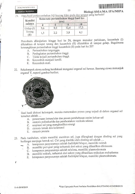 Latihan UNBK BIOLOGI PAPER BASE 2021