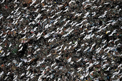 Beautiful Bird's-Eye Photos by Yann Arthus-Bertrand Seen On www.coolpicturegallery.us