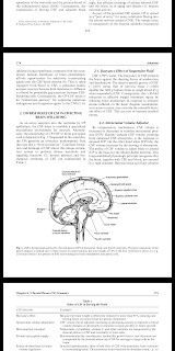 صورة عن الكتاب صفحة 174 neuroscience in medicine 