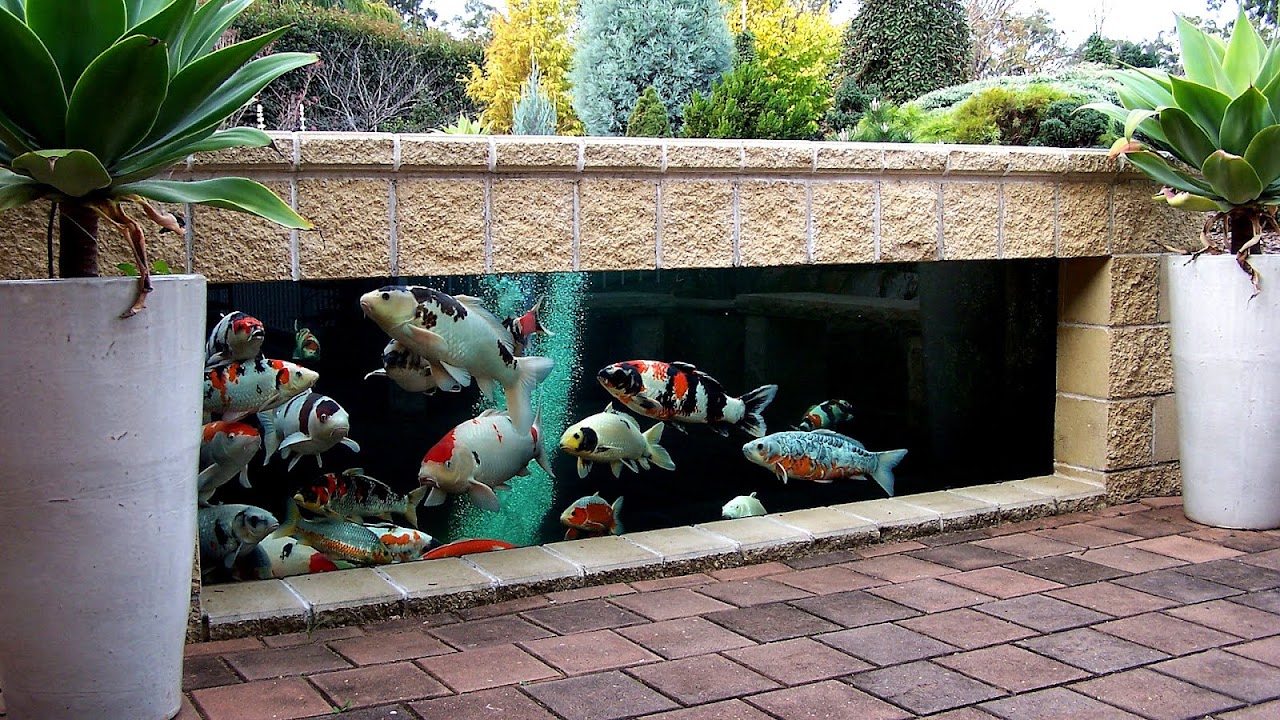 Garden Fish Ponds Designs