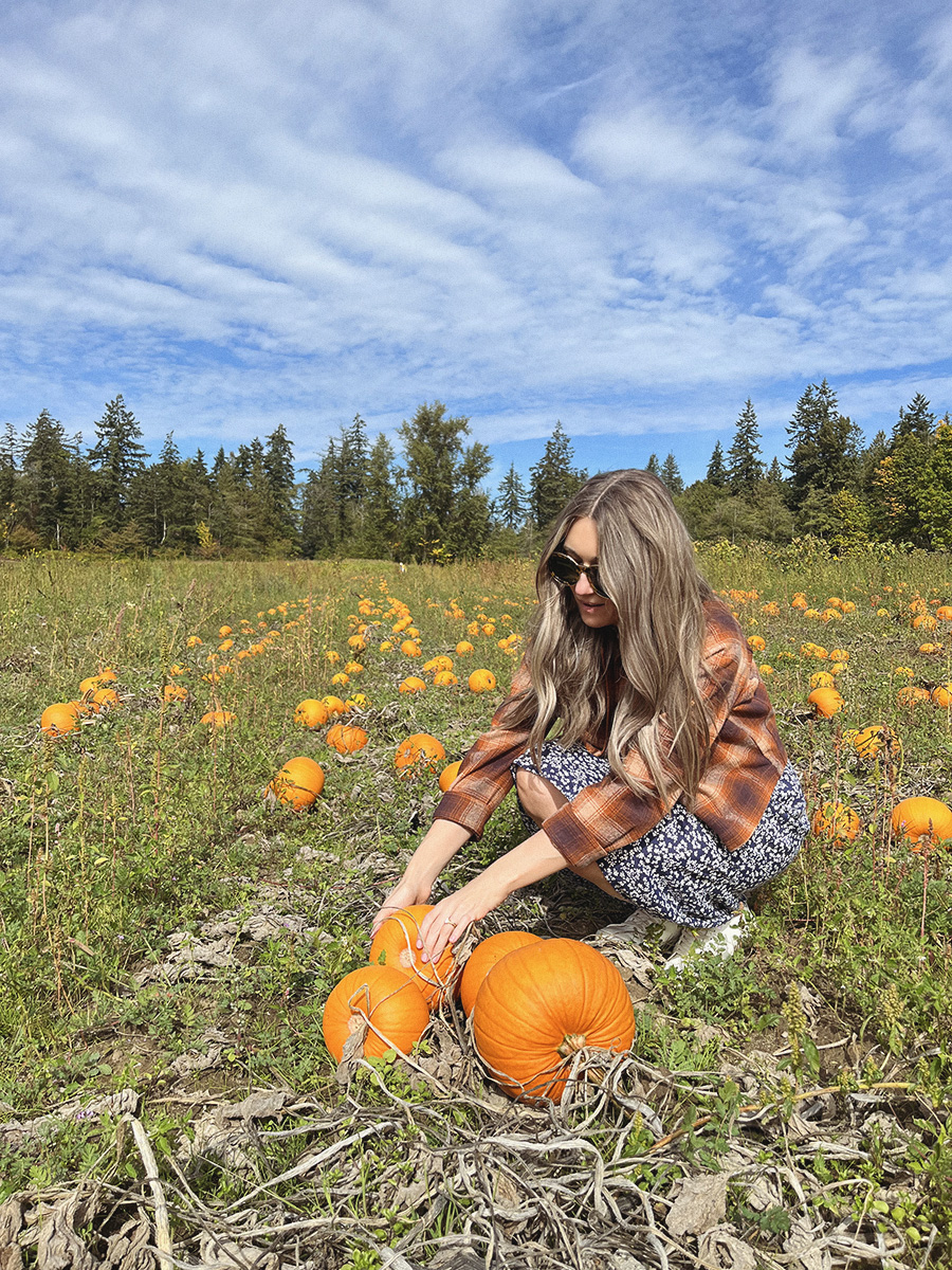 Hazelmere Pumpkin Patch Photos