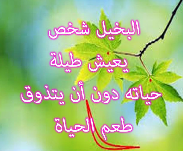 حكم من الحياة