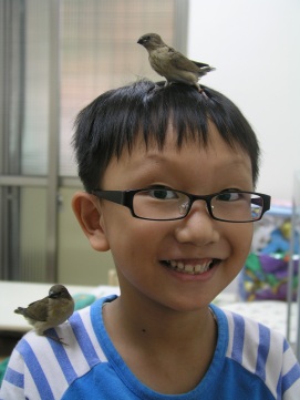 E:\shane991102\shane991101餵食斑文鳥\P1010251.JPG