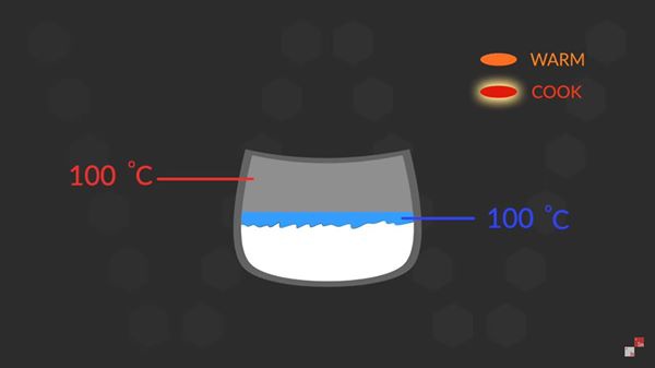 Alasan Rice Cooker Tahu Kapan Nasi Matang IDNPEDIA