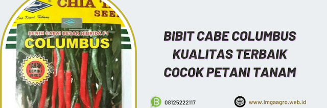 bibit cabe,cabe columbus,cap kapal terbang,kapal terbang.chia tai seed