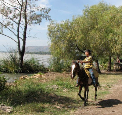 Google Maps Horse Boy. A young oy exercises his