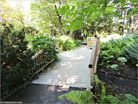 Shade Garden en el Jardín Botánico de Montreal