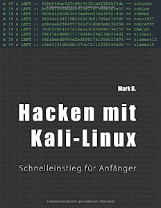 Hacken mit Kali-Linux: Schnelleinstieg für Anfänger