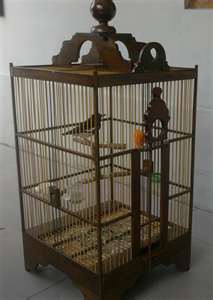 Terkeren Sangkar Burung Kacer