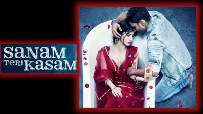 Sanam Teri Kasam film budget, Sanam Teri Kasam film collection
