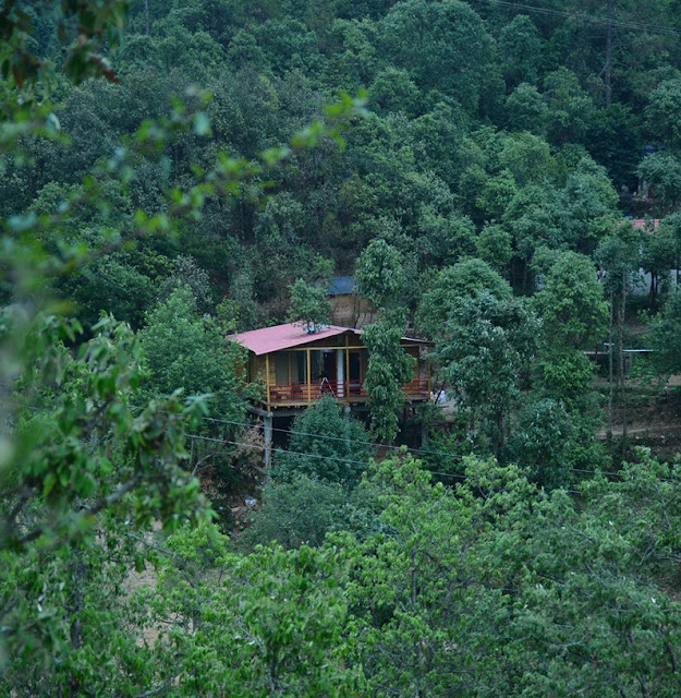 Cottage Nirvana Mukhteshwar the nest tree house 